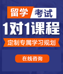 看看美国日本操逼的留学考试一对一精品课